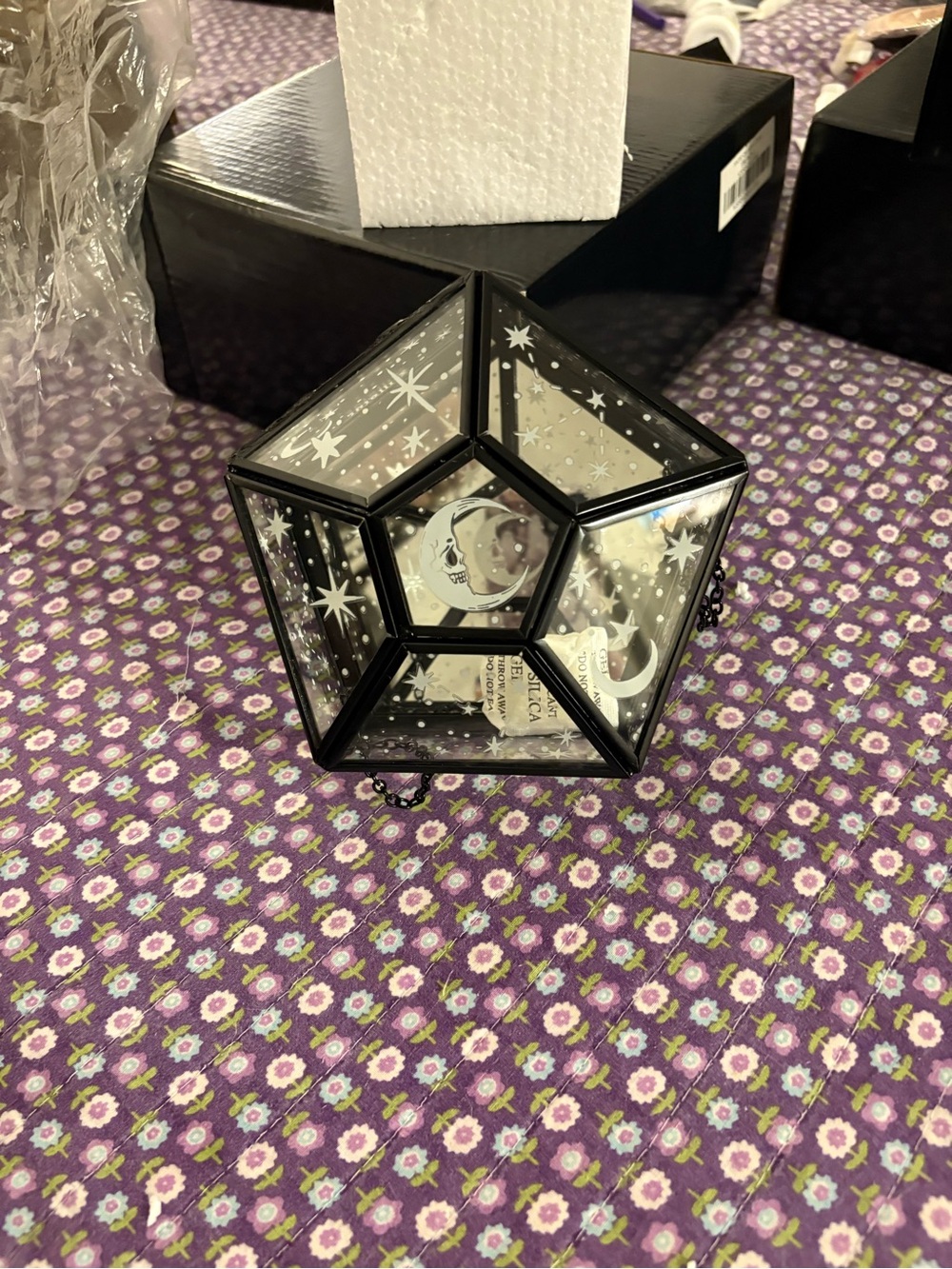 KILLSTAR Starlight Glads Box